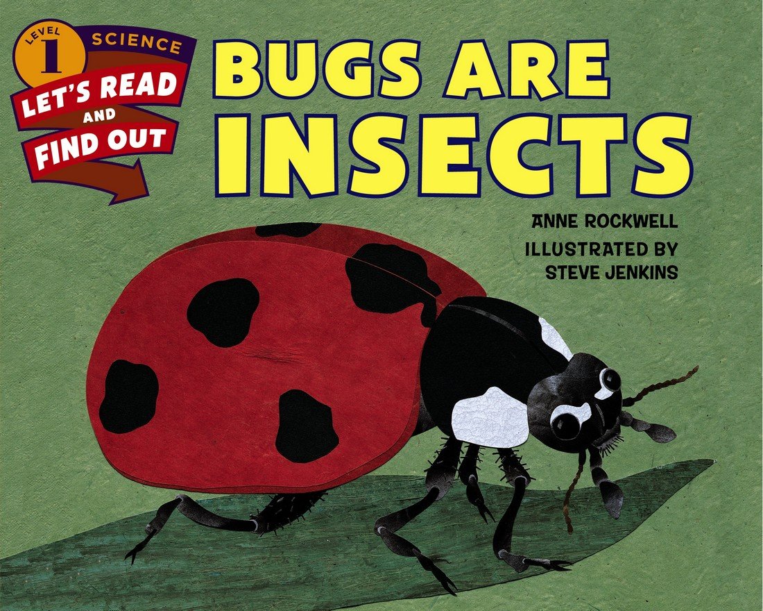 bugs are insects